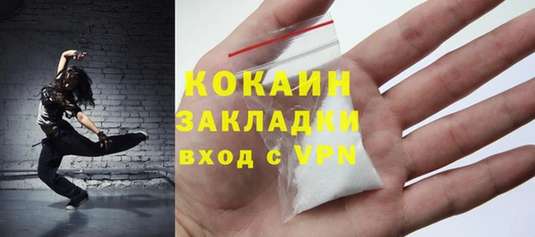 молекула духа Бронницы