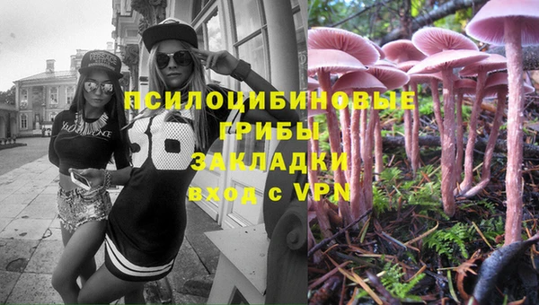 молекула духа Бронницы